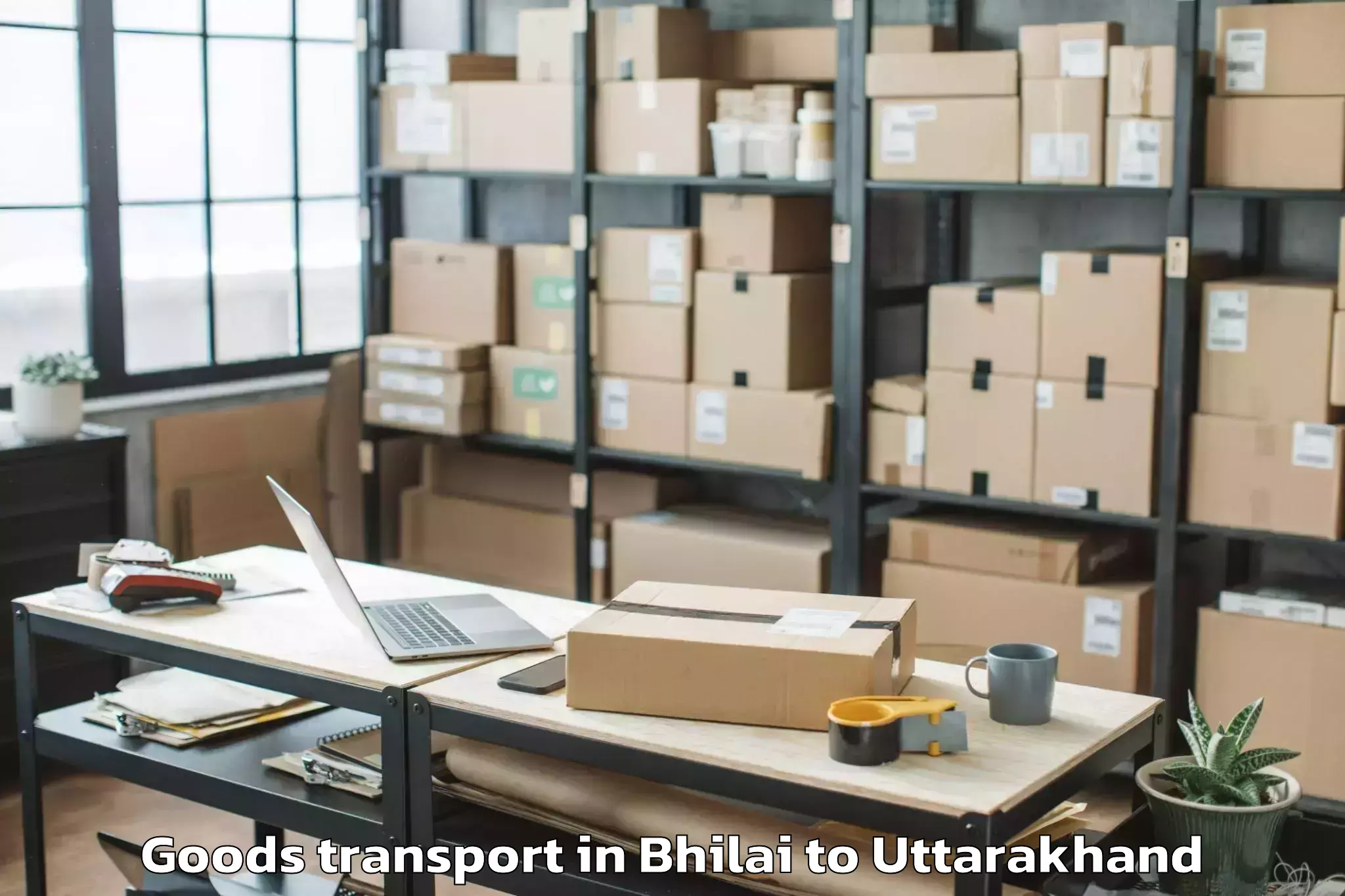 Trusted Bhilai to Naini Tal Goods Transport